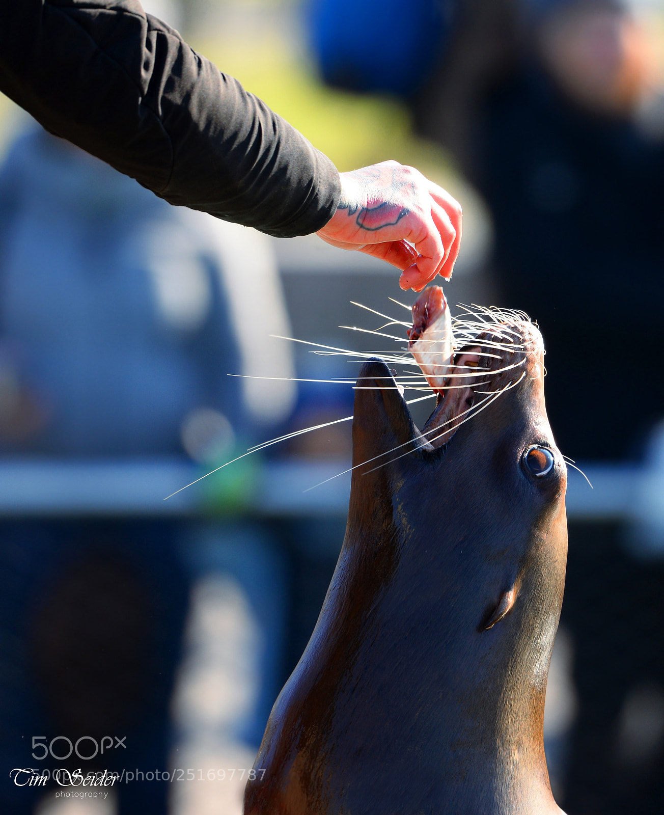 Nikon D610 sample photo. Feeding time photography
