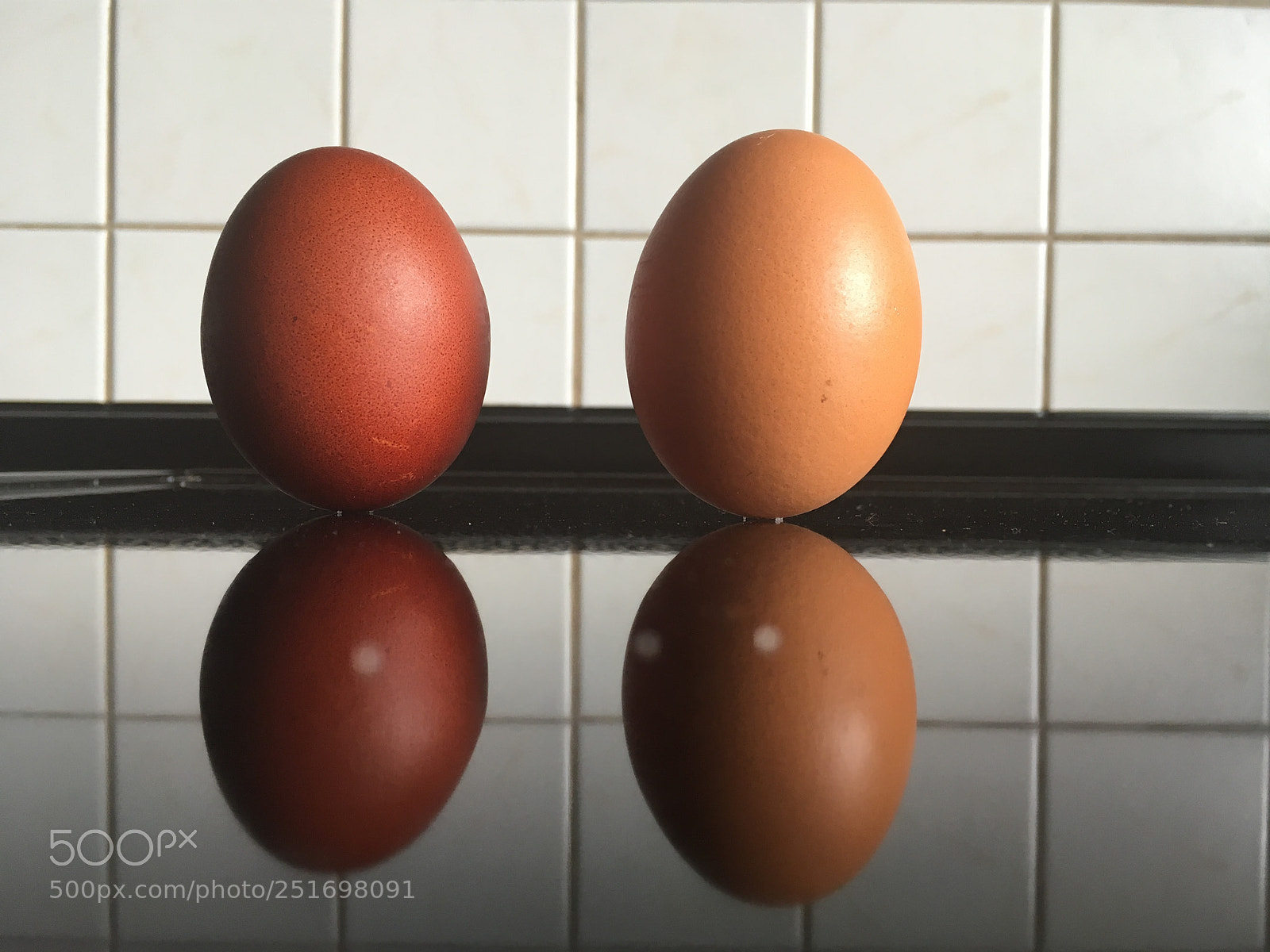 Apple iPhone SE sample photo. Eggs of columbus photography