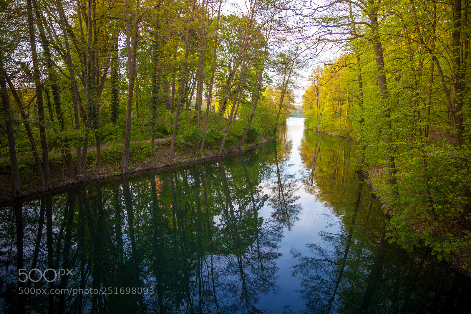 Canon EOS 5D Mark II sample photo. Beautiful sunlight in spring photography