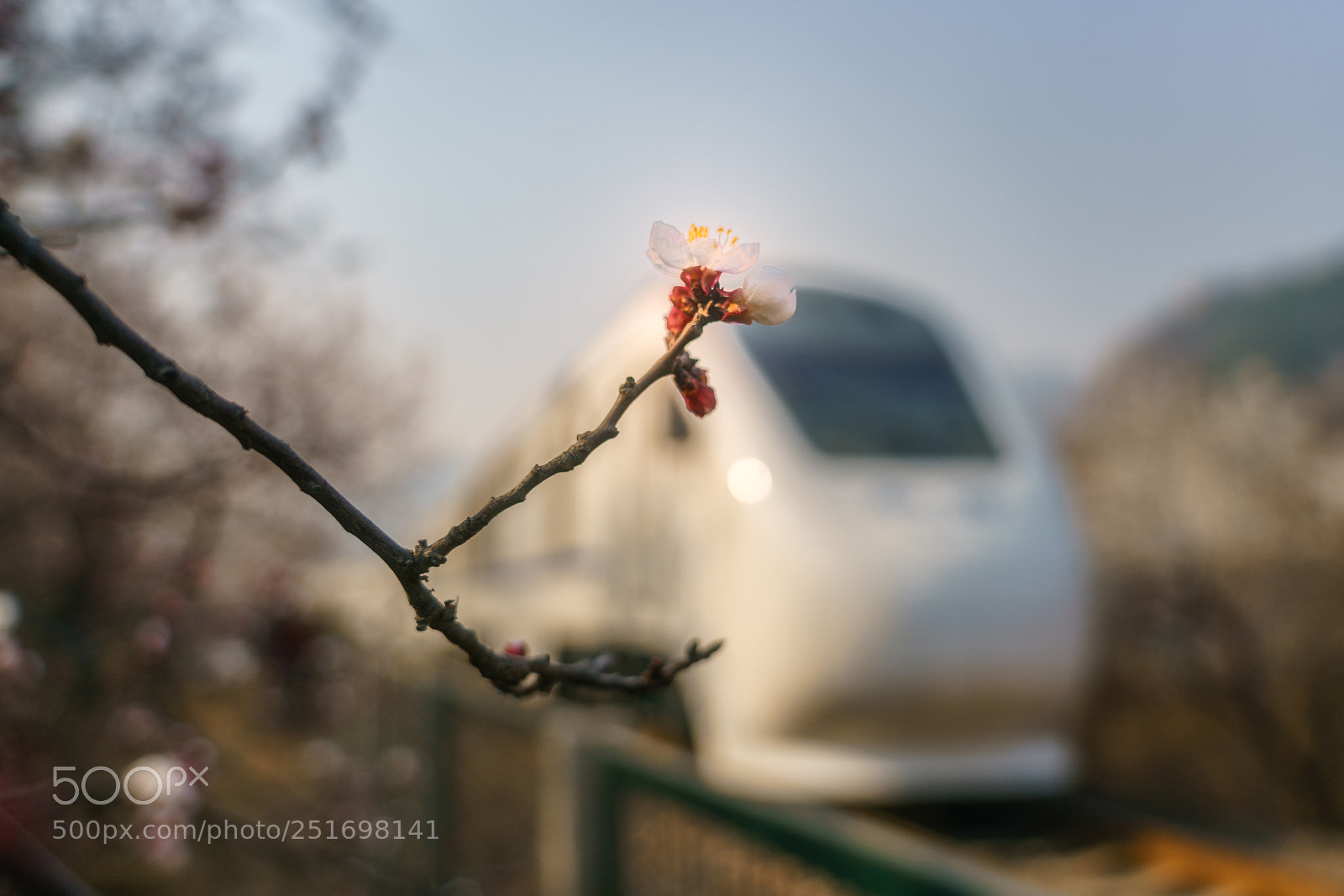 Sony a7R II sample photo. Train to spring photography