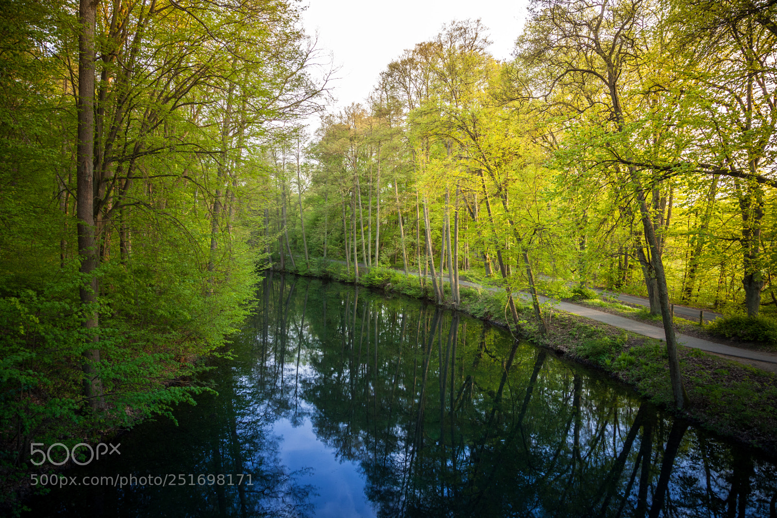Canon EOS 5D Mark II sample photo. Beautiful sunlight in spring photography