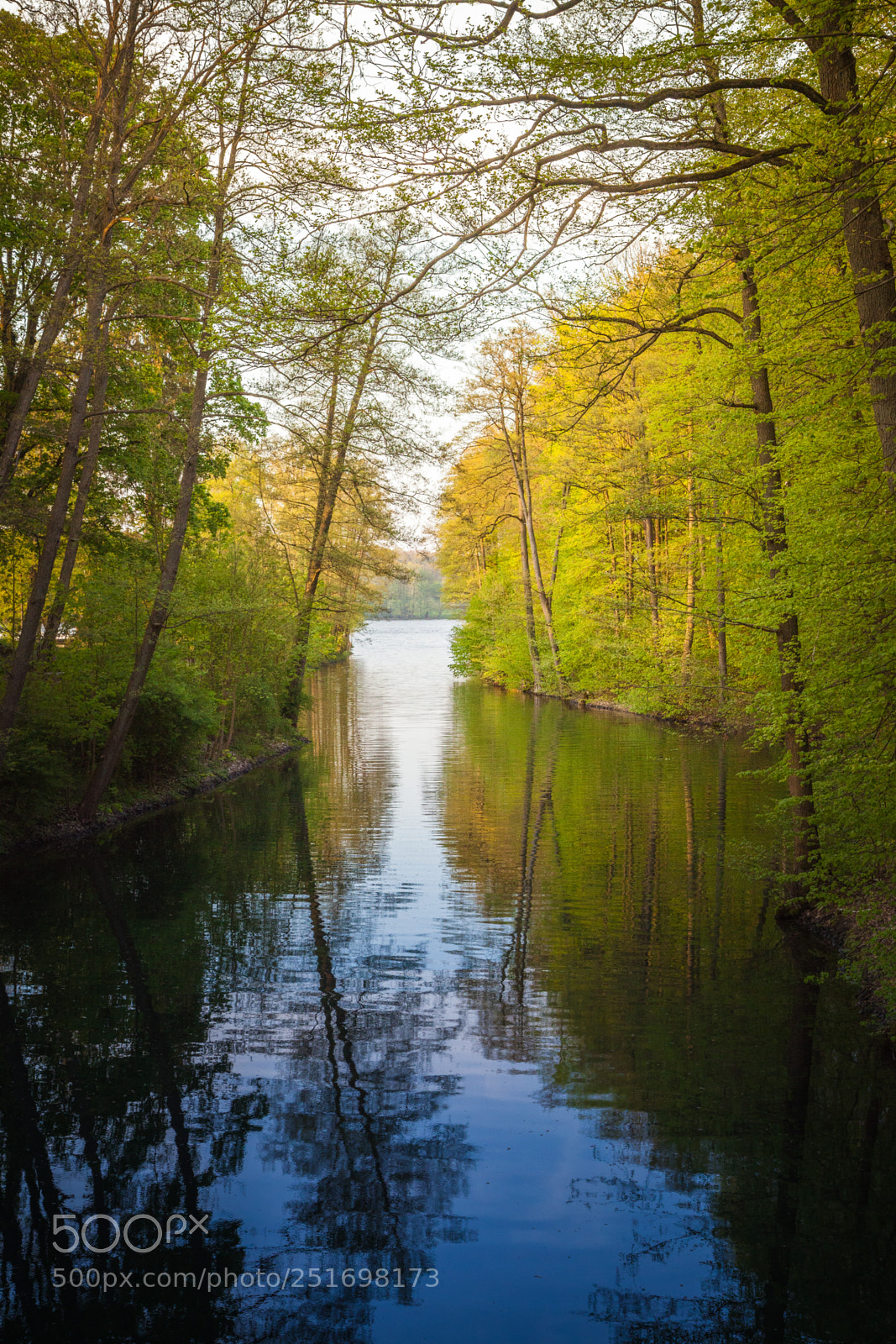 Canon EOS 5D Mark II sample photo. Beautiful sunlight in spring photography