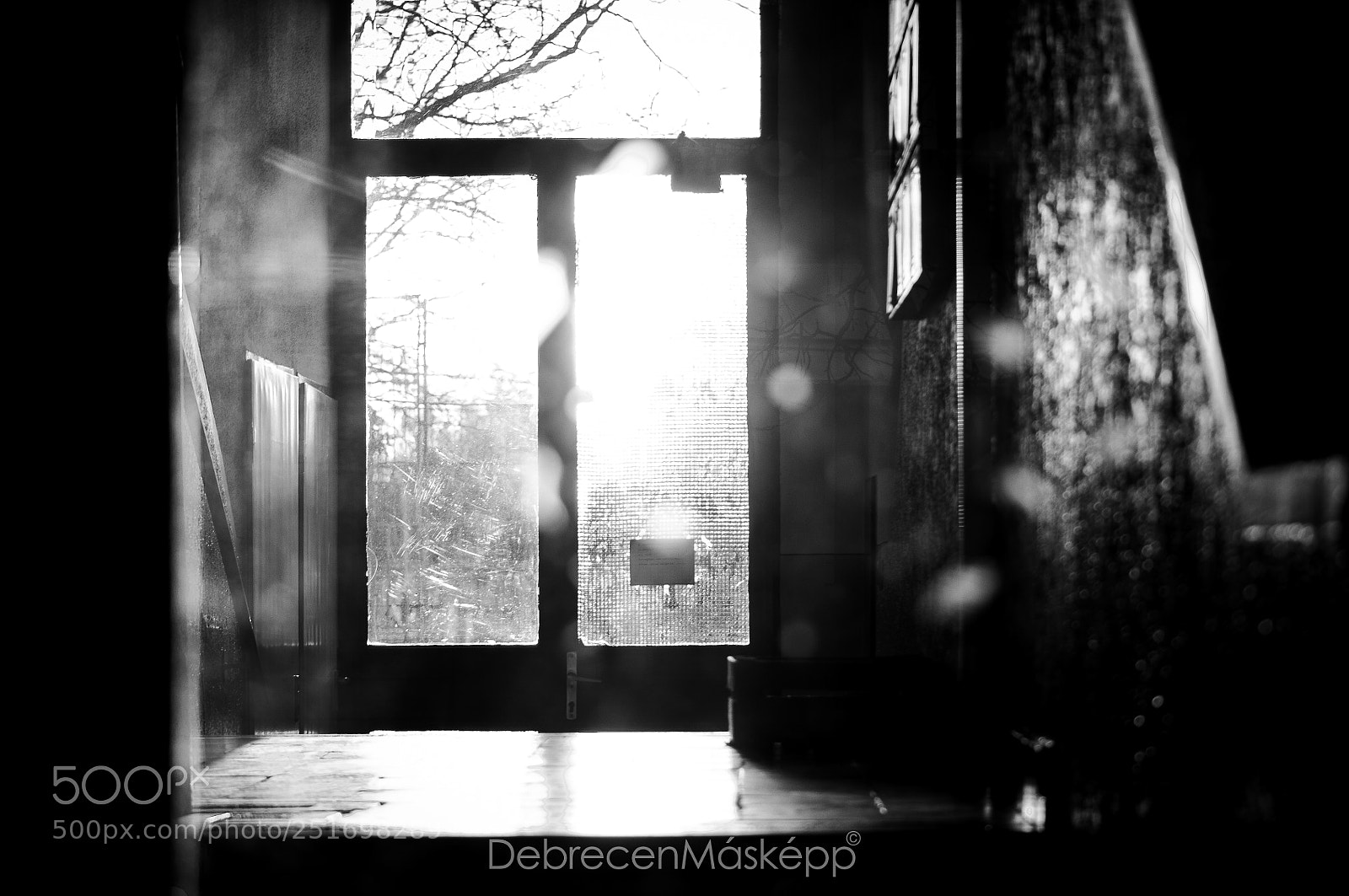 Nikon D5000 sample photo. Debrecen-hungary photography