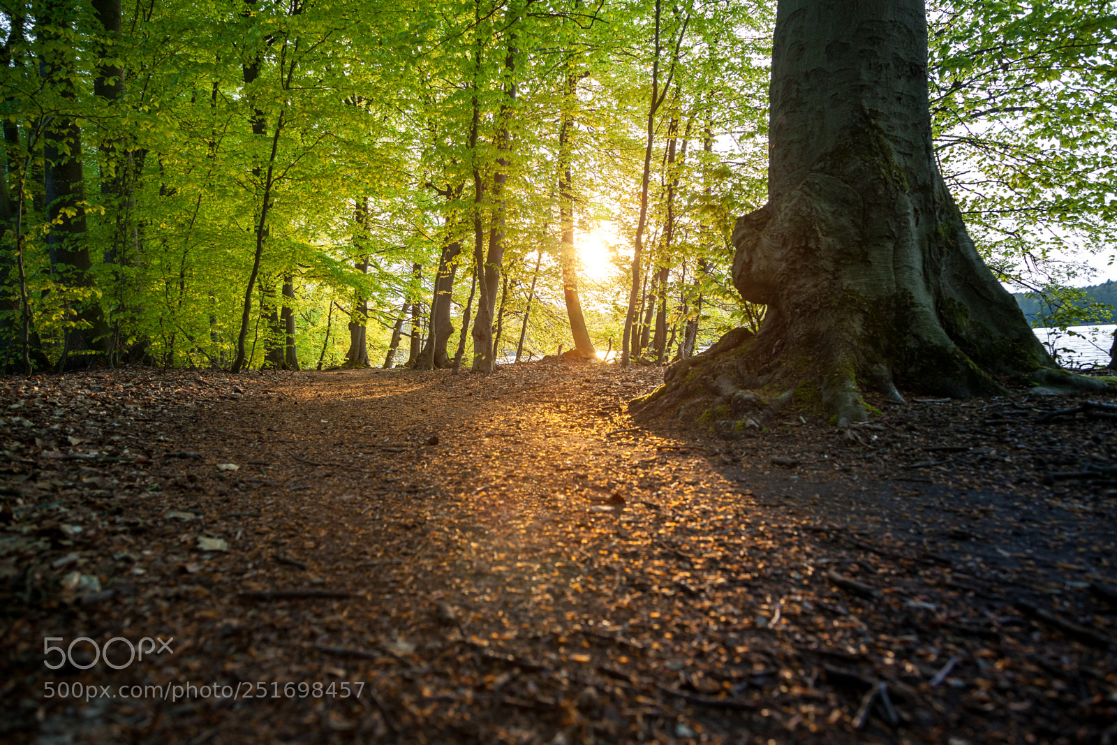 Canon EOS 5D Mark II sample photo. Beautiful sunset on the photography