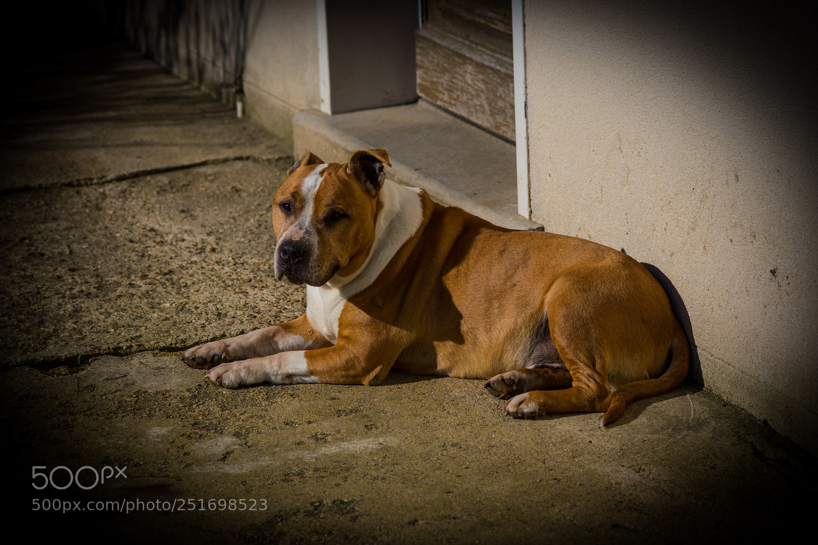 Nikon D5300 sample photo. Alko photography