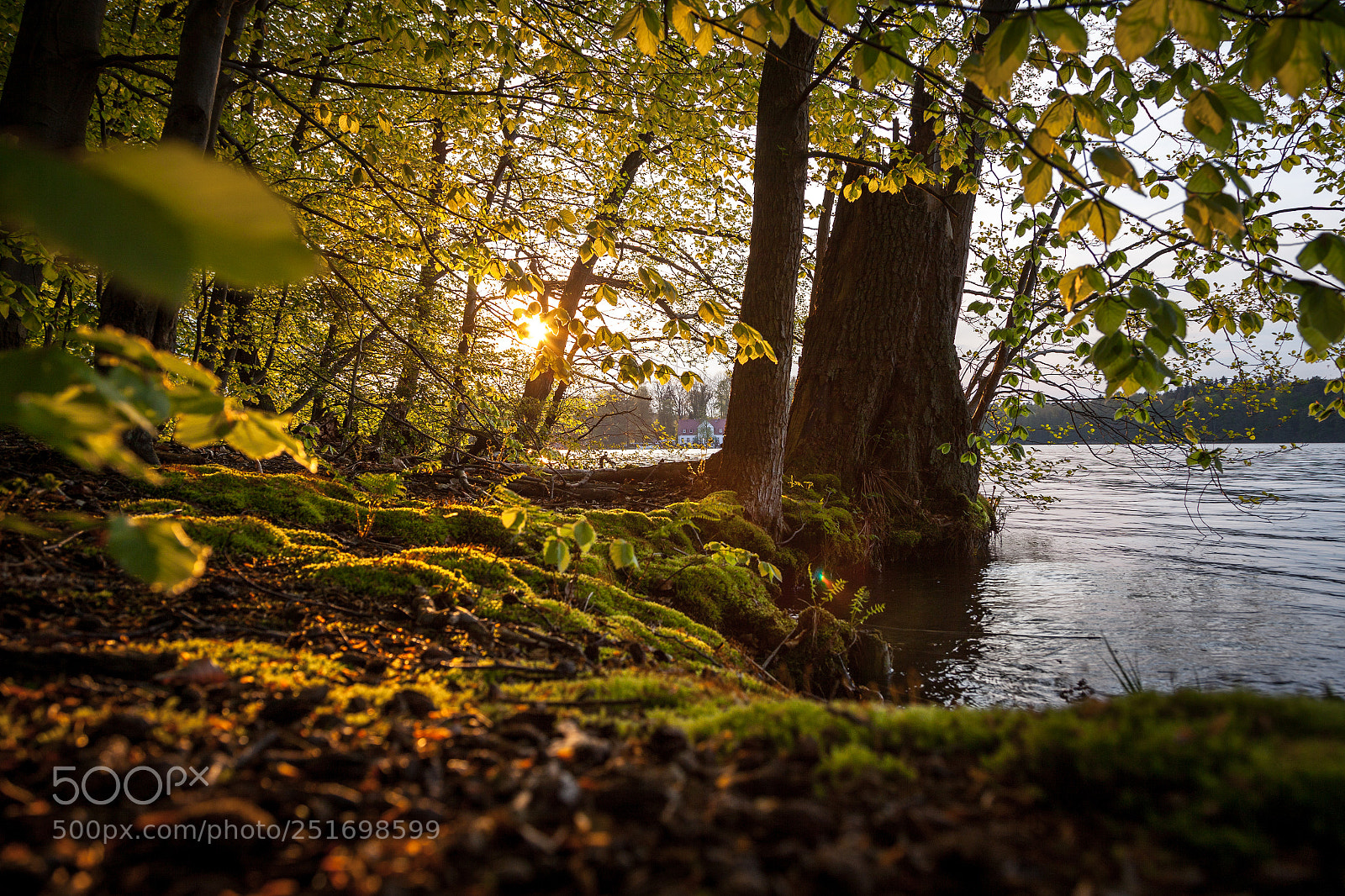 Canon EOS 5D Mark II sample photo. Beautiful sunset on the photography