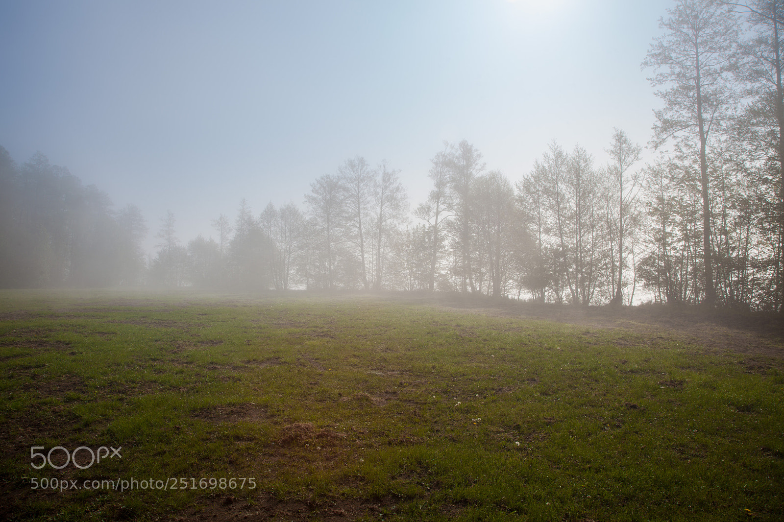 Canon EOS 5D Mark II sample photo. Rainy weather with fog photography