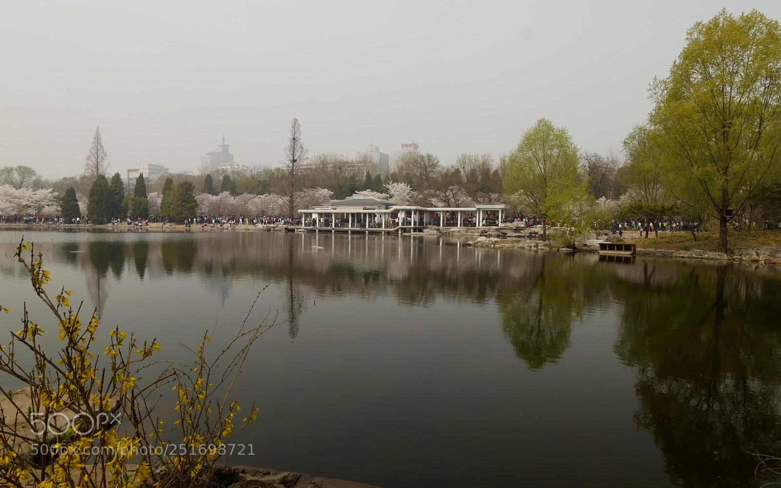 Leica SL (Typ 601) sample photo. Untitled photography