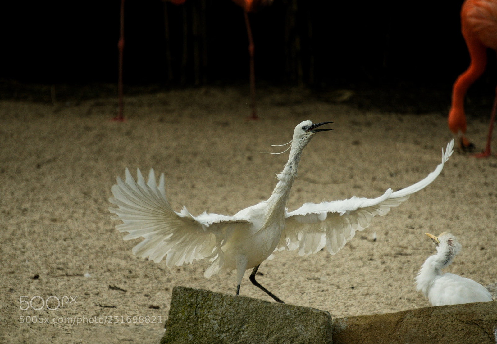 Sony a6000 sample photo. Hey, kid, that's how photography