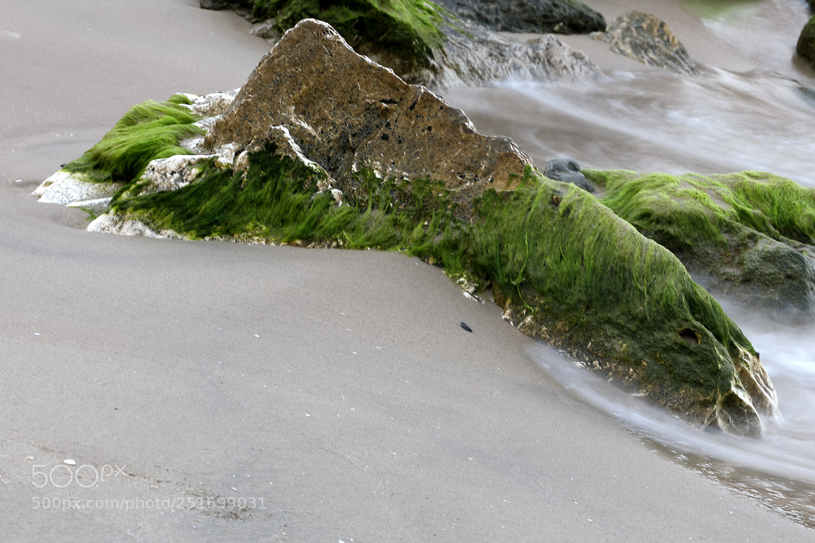 Canon EOS 5D Mark IV sample photo. Qva photography