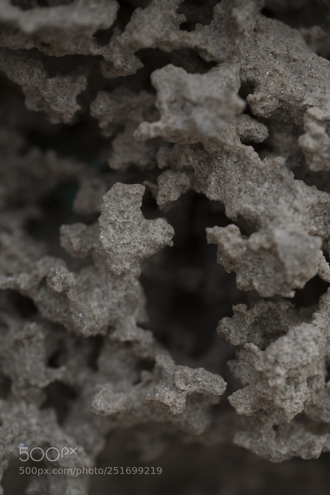 Canon EOS 5D sample photo. Img photography