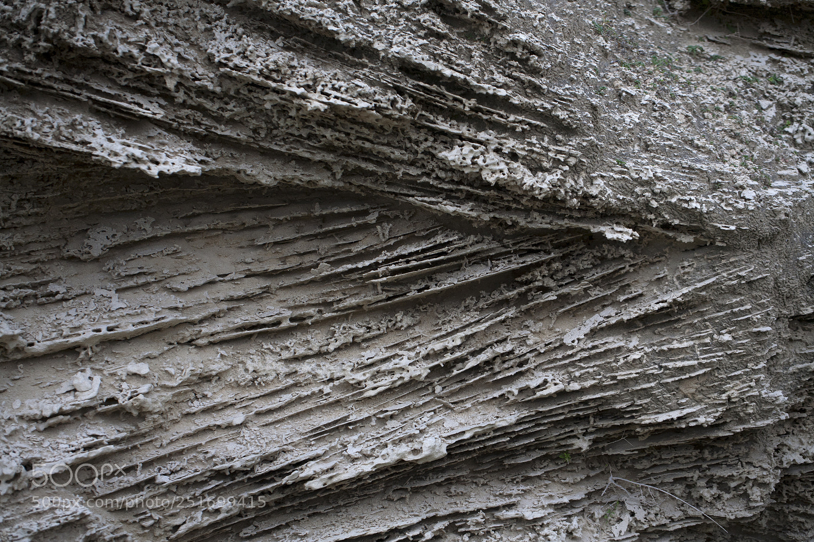Canon EOS 5D sample photo. Img photography