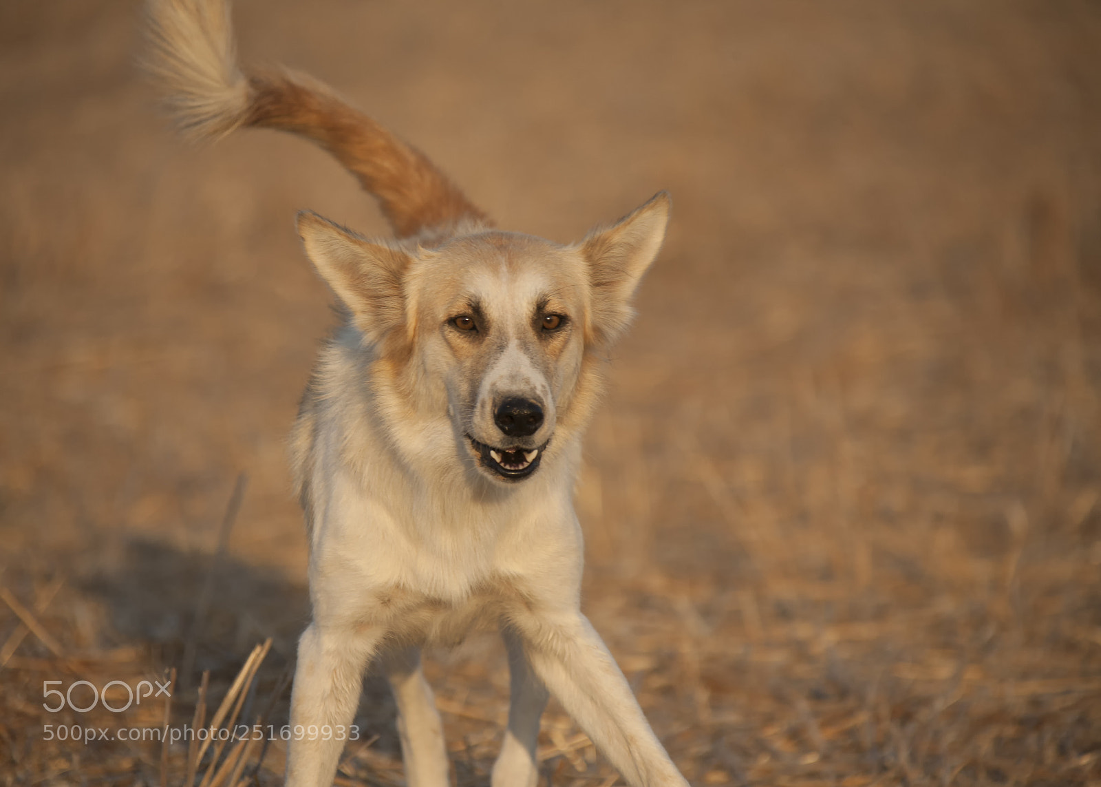 Canon EOS 5D sample photo. Img photography