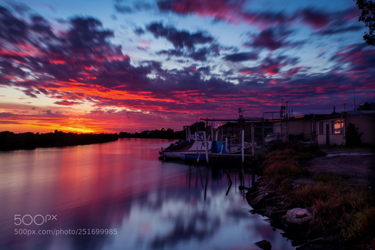 Sony a7R II sample photo. Dsc photography