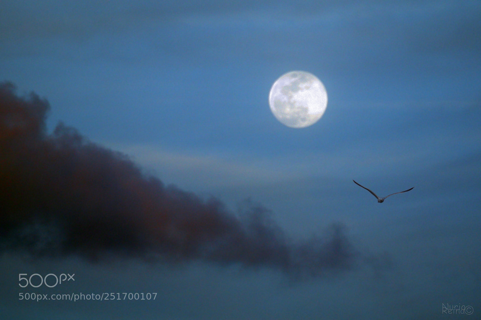 Canon EOS 70D sample photo. Moonrise photography