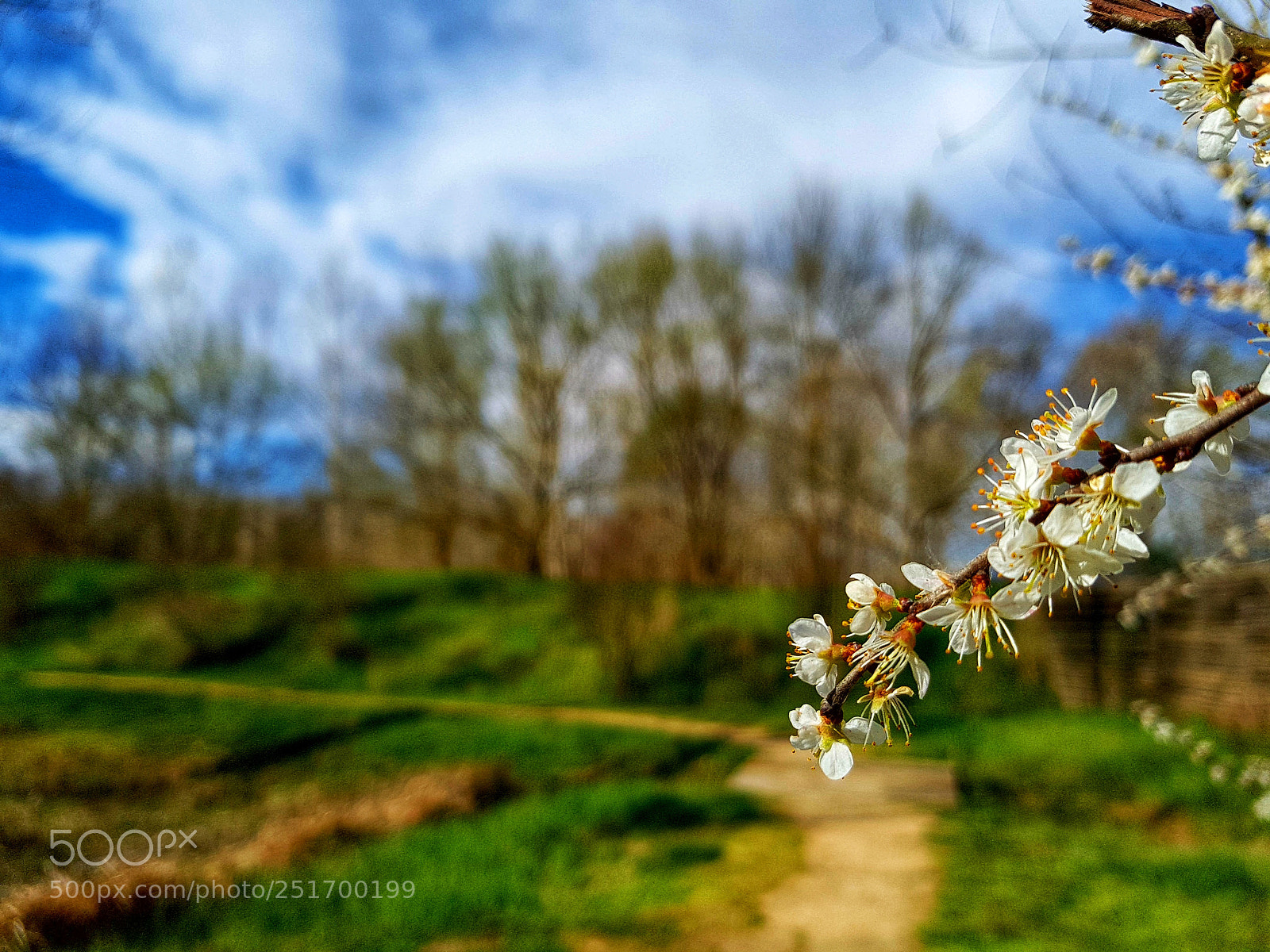 Samsung Galaxy S7 Edge sample photo. Untitled photography
