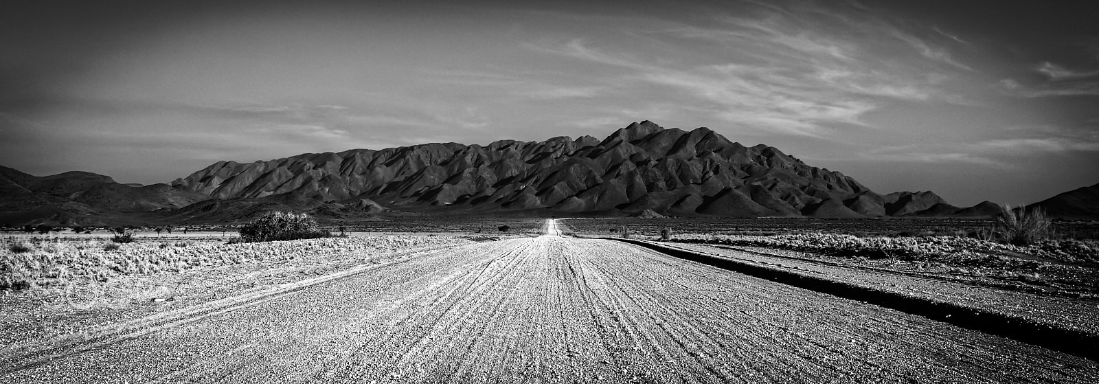 Nikon D500 sample photo. Path to happiness photography