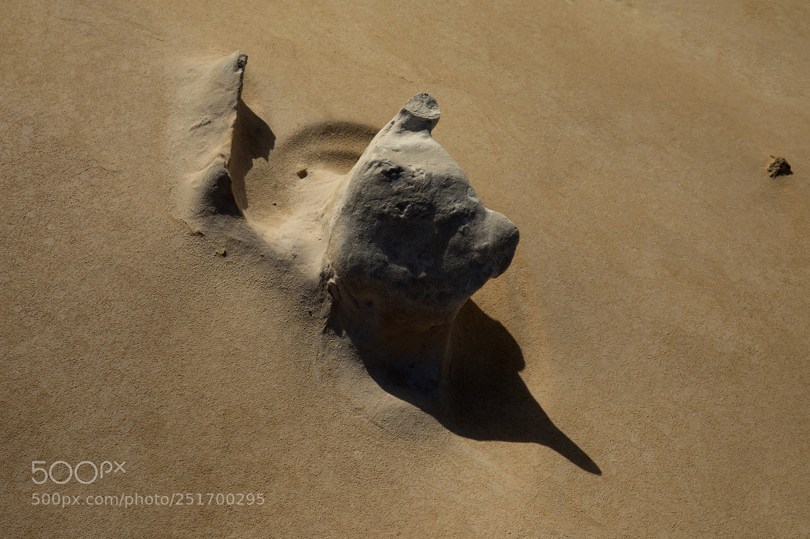 Canon EOS 5D Mark IV sample photo. Qva photography