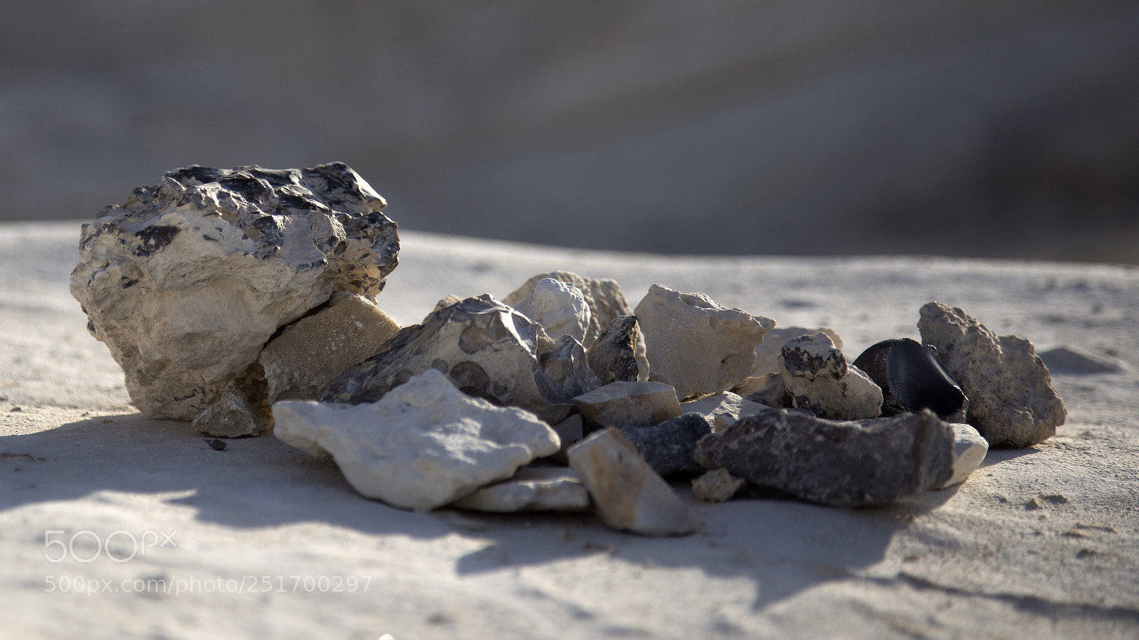 Canon EOS 5D Mark IV sample photo. Qva photography