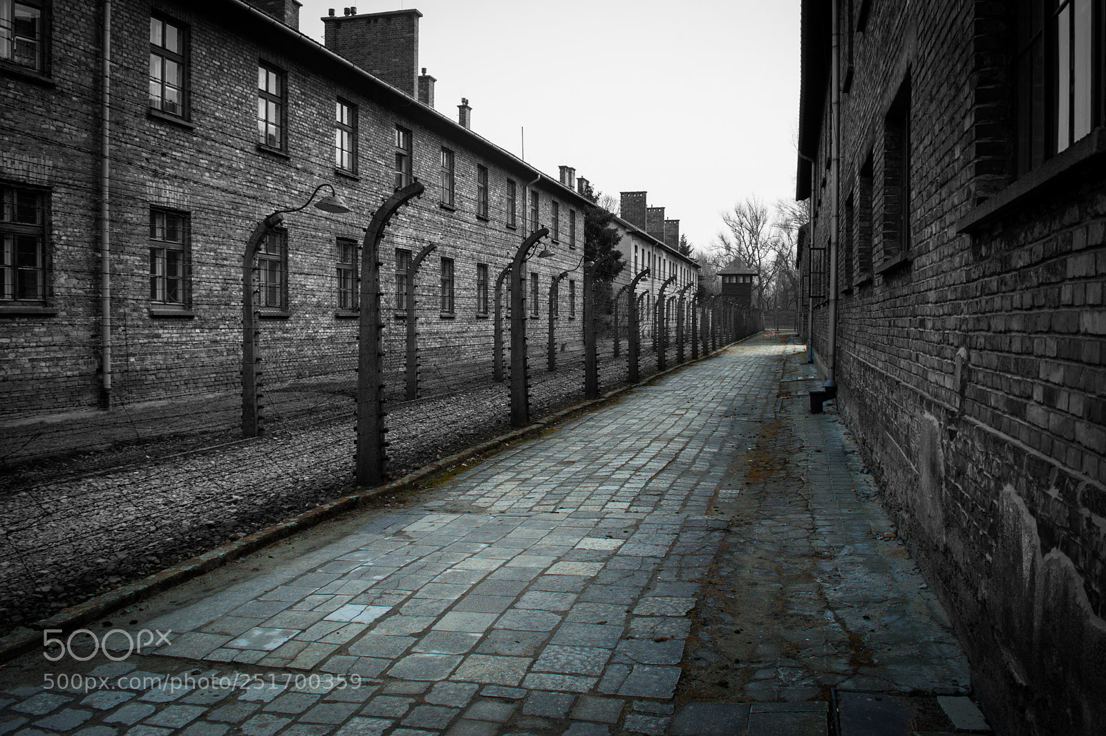 Nikon D3200 sample photo. Auschwitz i photography