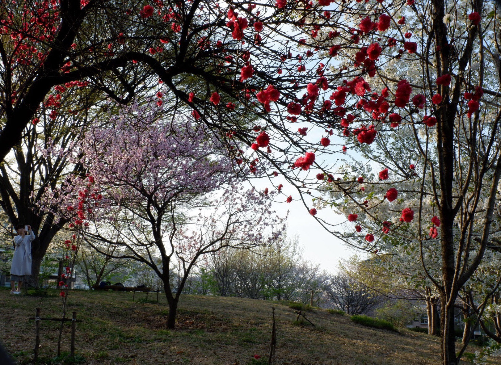 Fujifilm X-A3 sample photo. Shooting photography