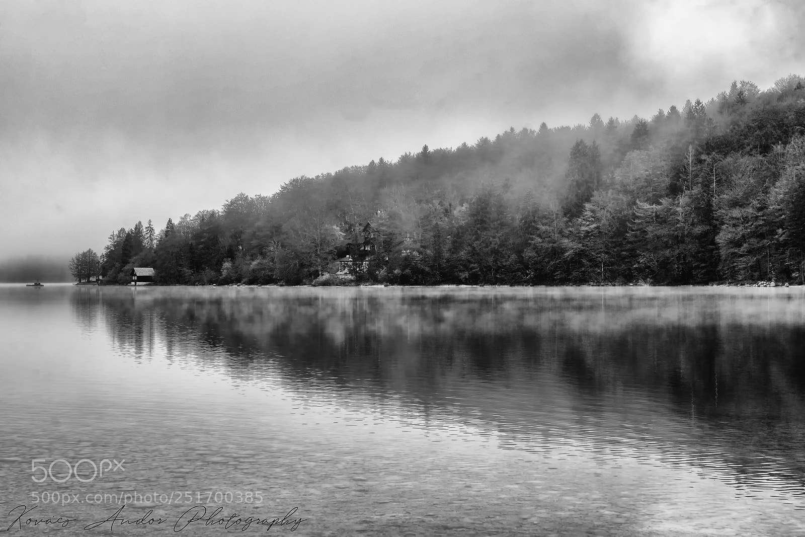 Nikon D7100 sample photo. Cool autumn morning photography