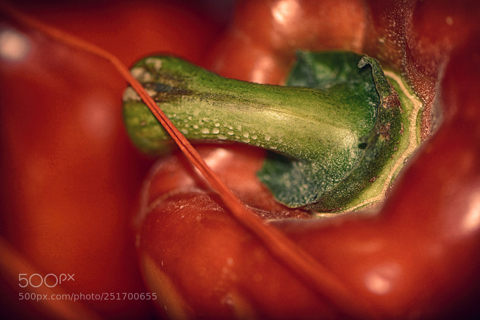Nikon D7100 sample photo. Red pepper photography