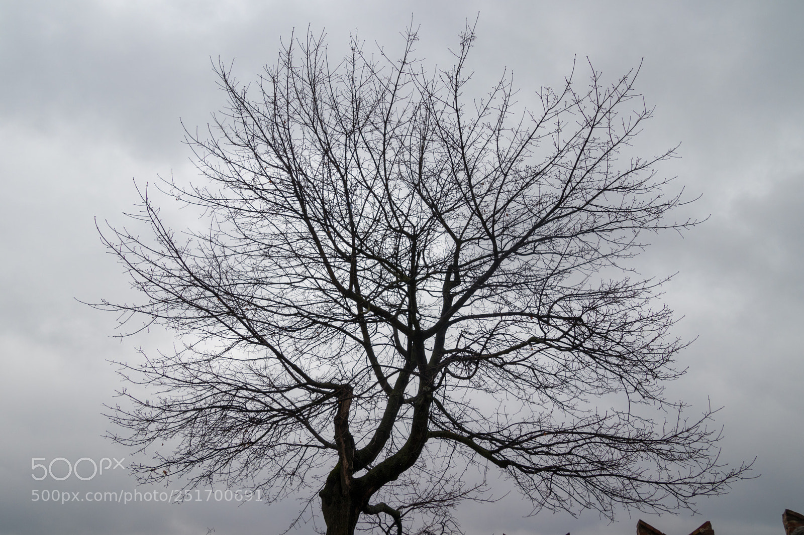 Canon EOS 80D sample photo. Untitled photography