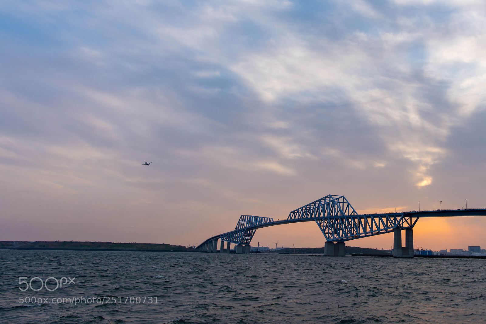 Nikon D810 sample photo. Tokyo gate bridge photography