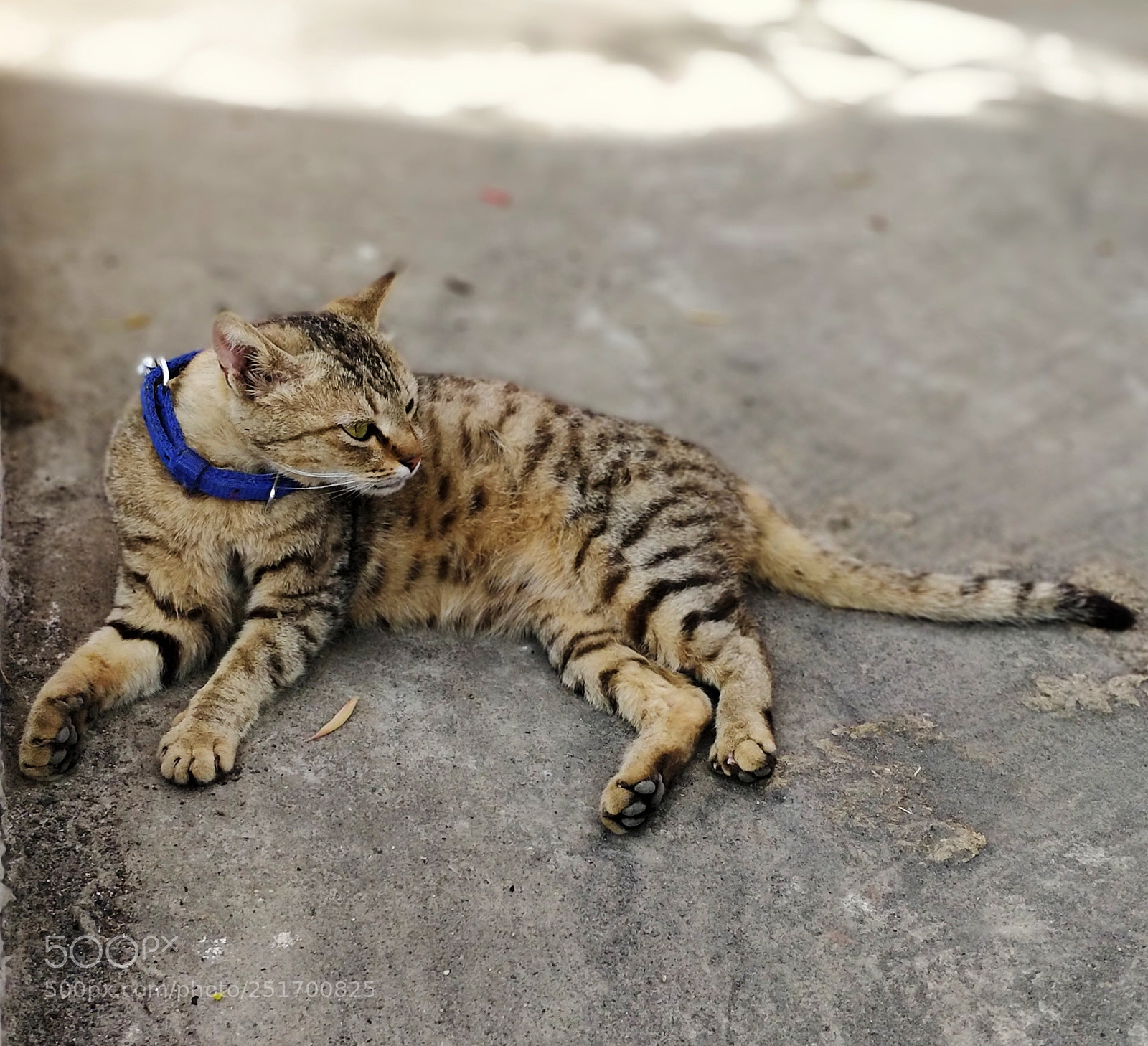 OnePlus 5 sample photo. Innocence  photography