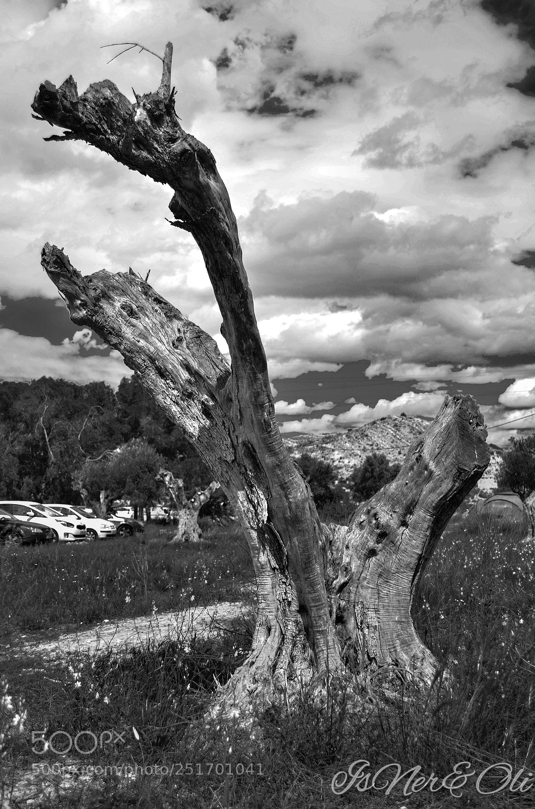 Nikon D5100 sample photo. Blanco y negro photography