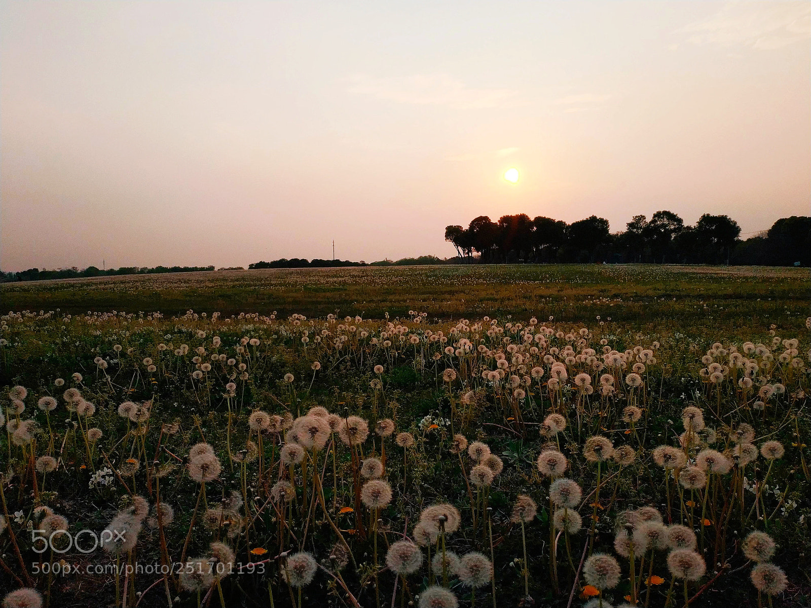 Xiaomi MIX 2 sample photo. Sunset, 2 photography