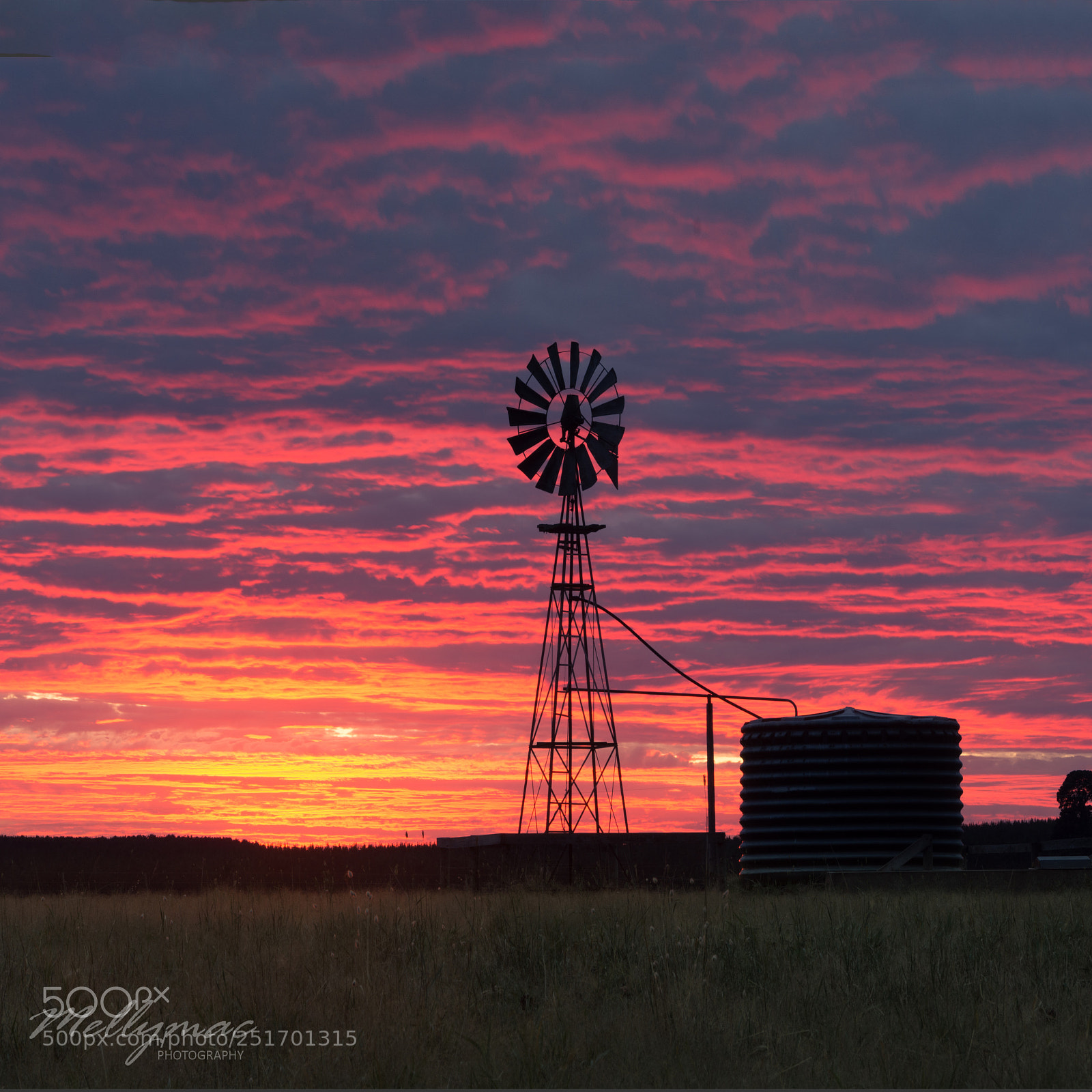 Nikon D7200 sample photo. Rural australian sunrise photography
