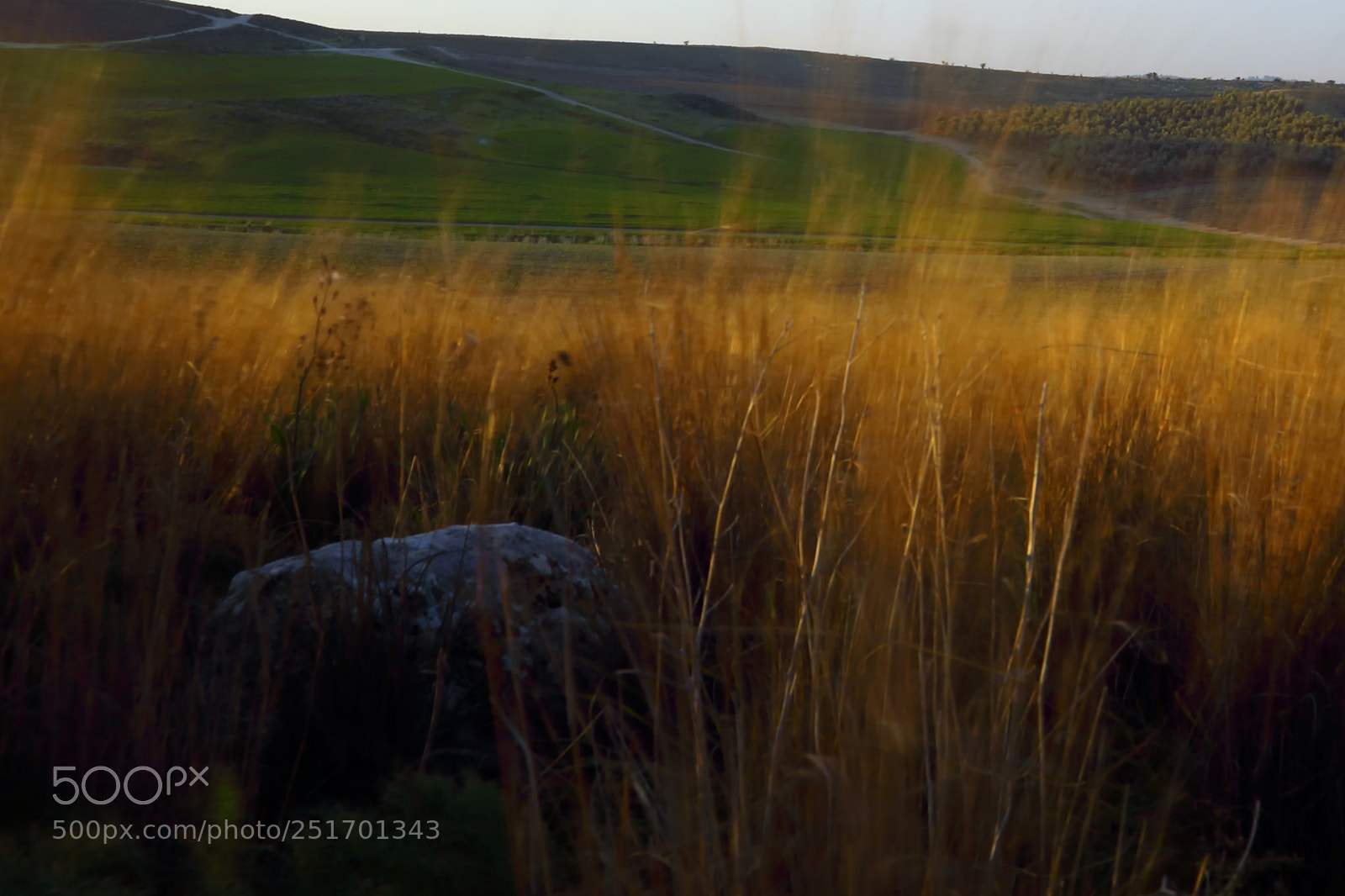 Canon EOS 5D Mark IV sample photo. A photography