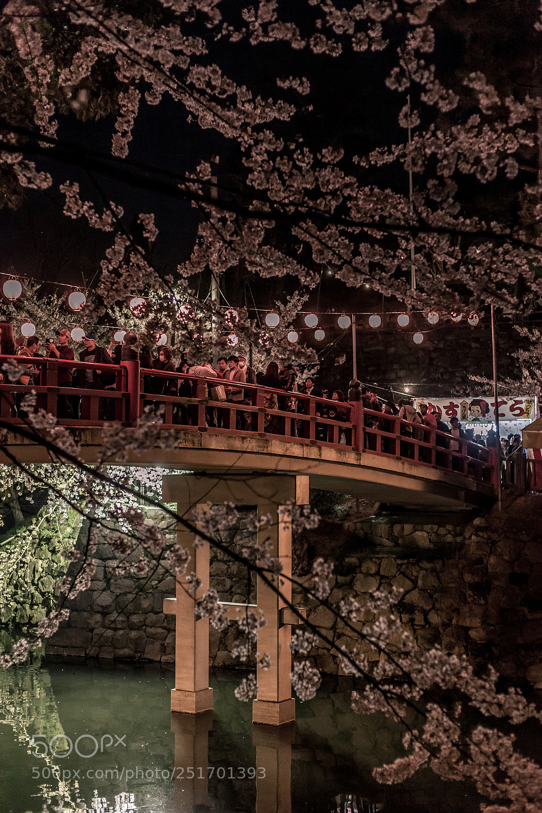 Canon EOS 5D Mark II sample photo. Sakura night street2 photography