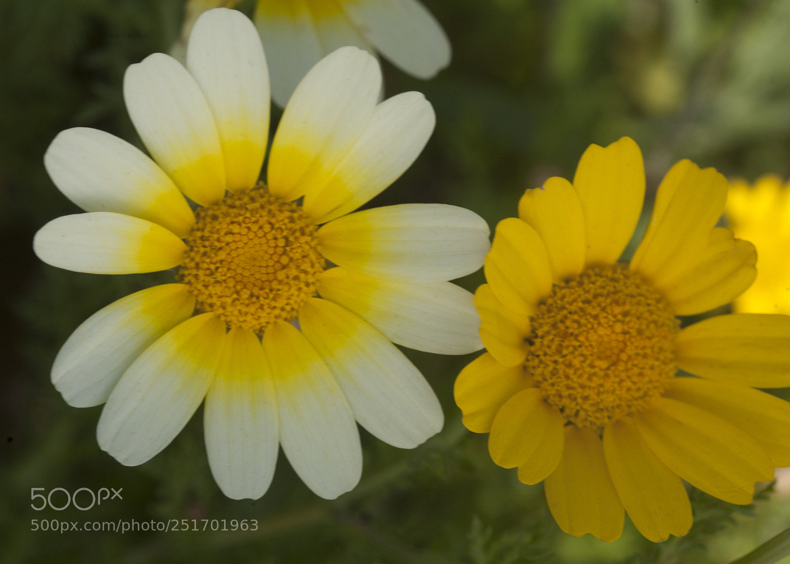 Canon EOS 5D sample photo. Img photography