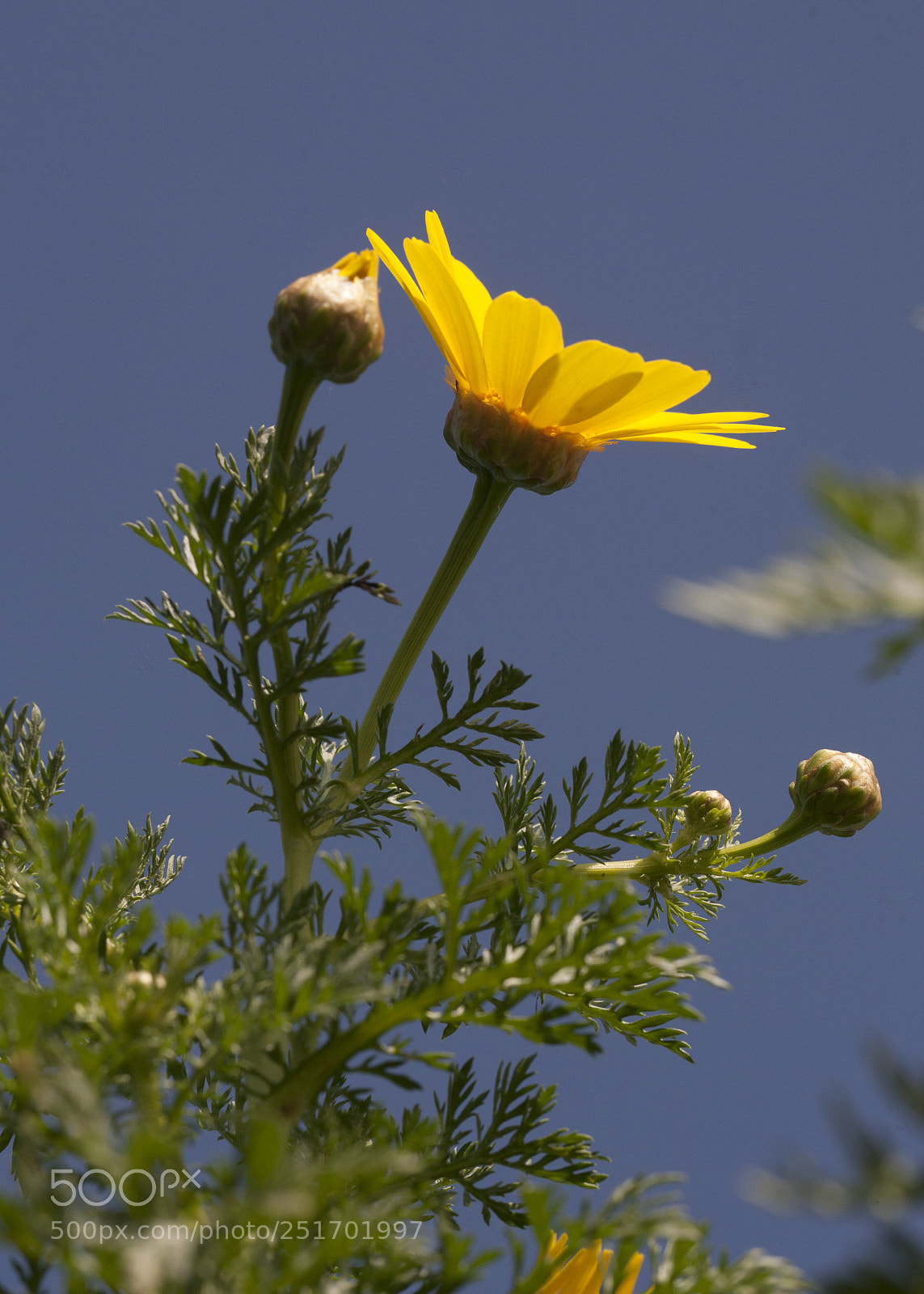 Canon EOS 5D sample photo. Img photography