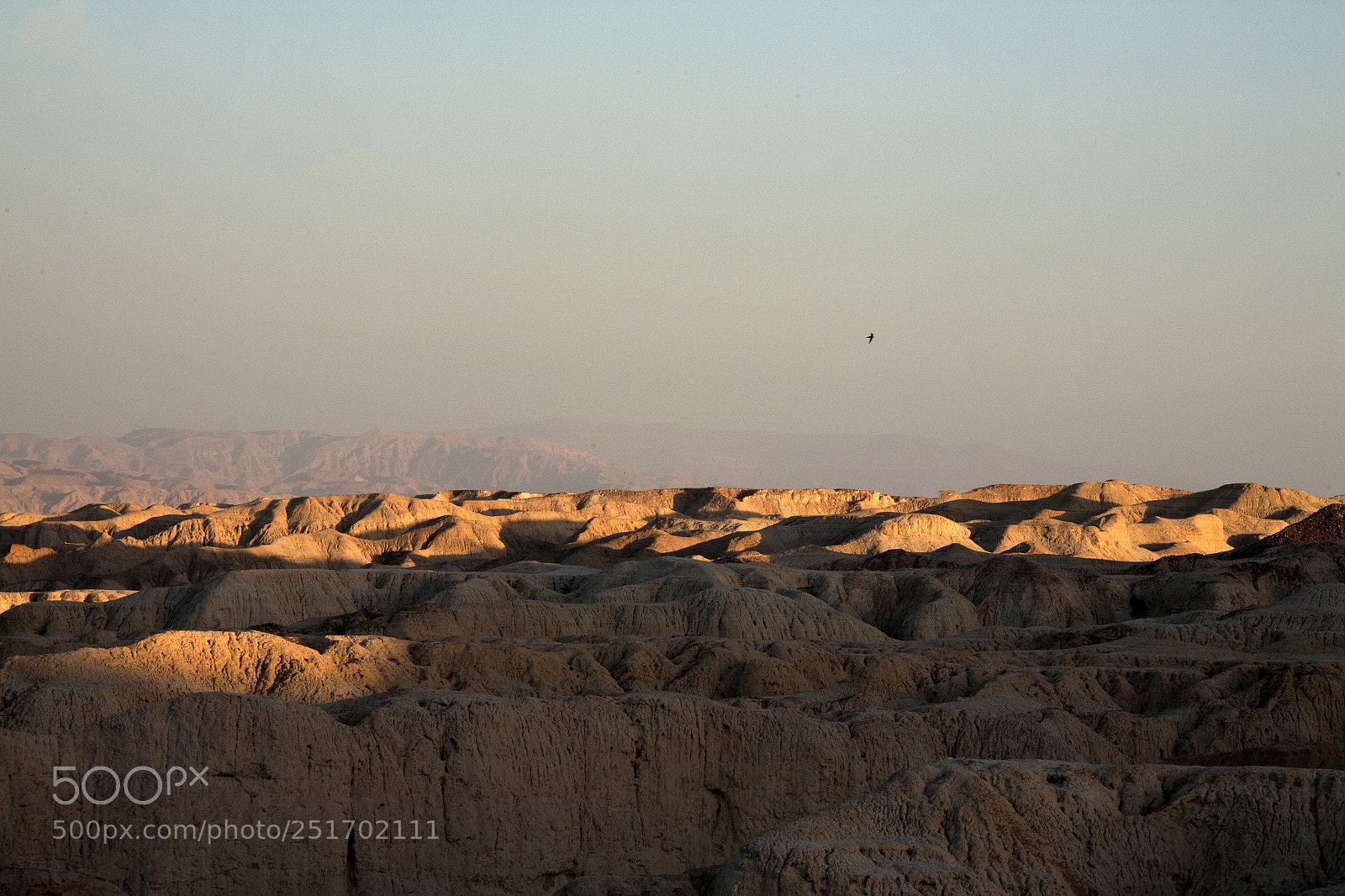 Canon EOS 5D sample photo. Img photography