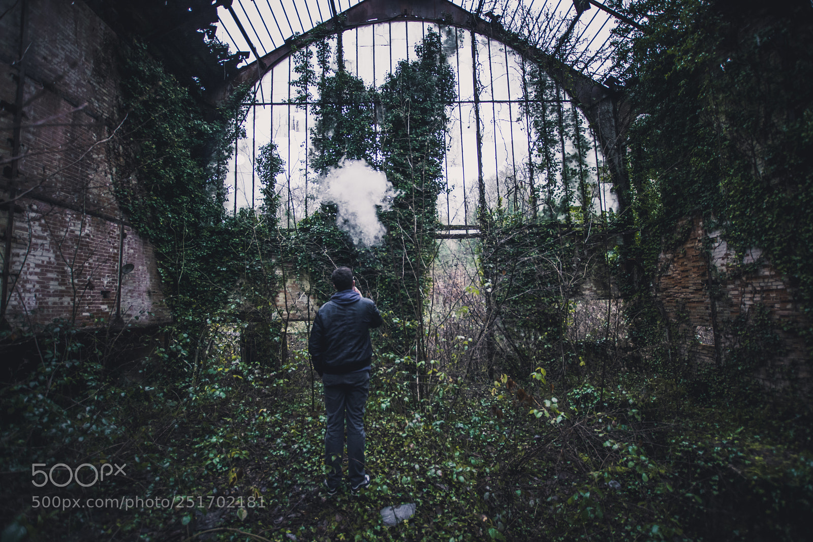 Nikon D7100 sample photo. Smoky photography