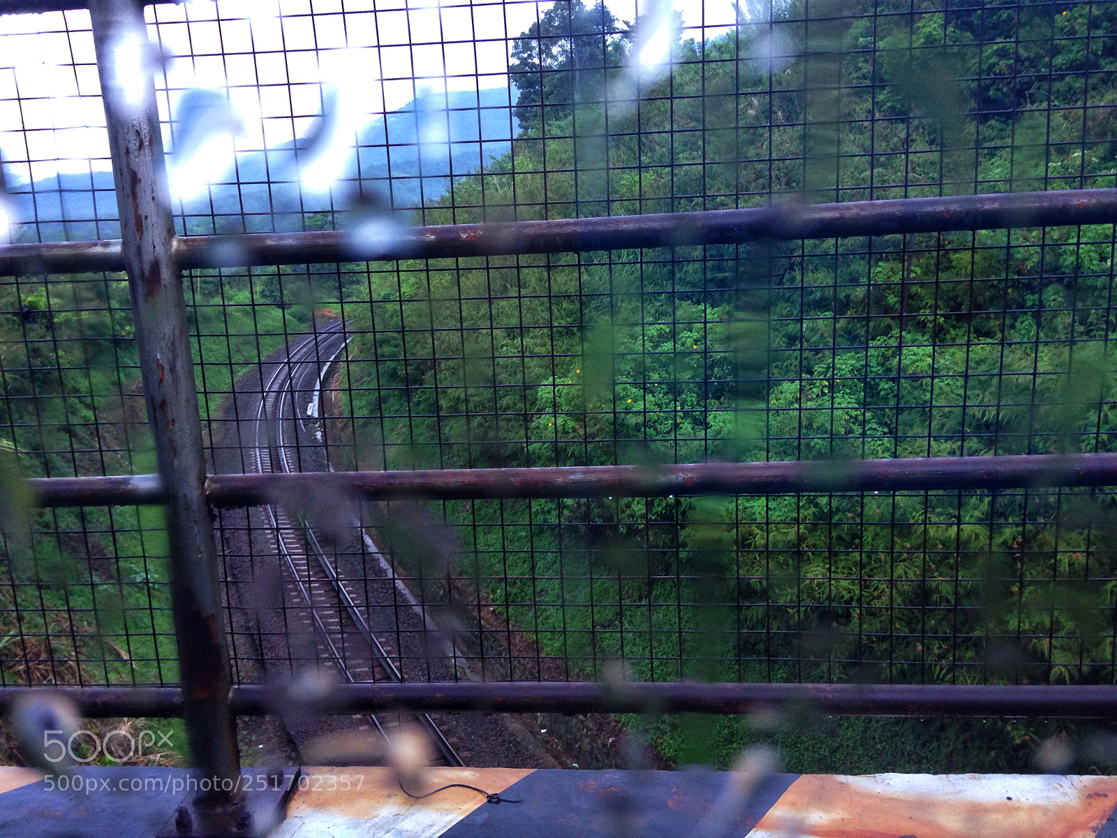 Apple iPhone 5c sample photo. Through the forest. photography