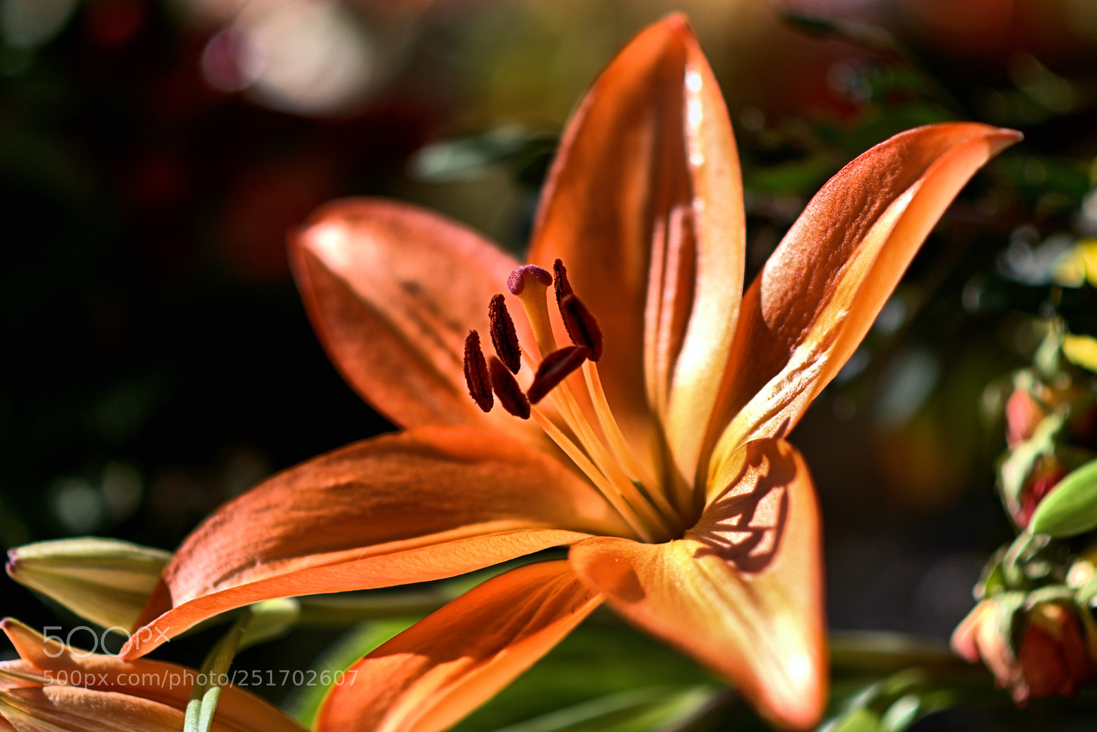 Nikon D5300 sample photo. R e b photography