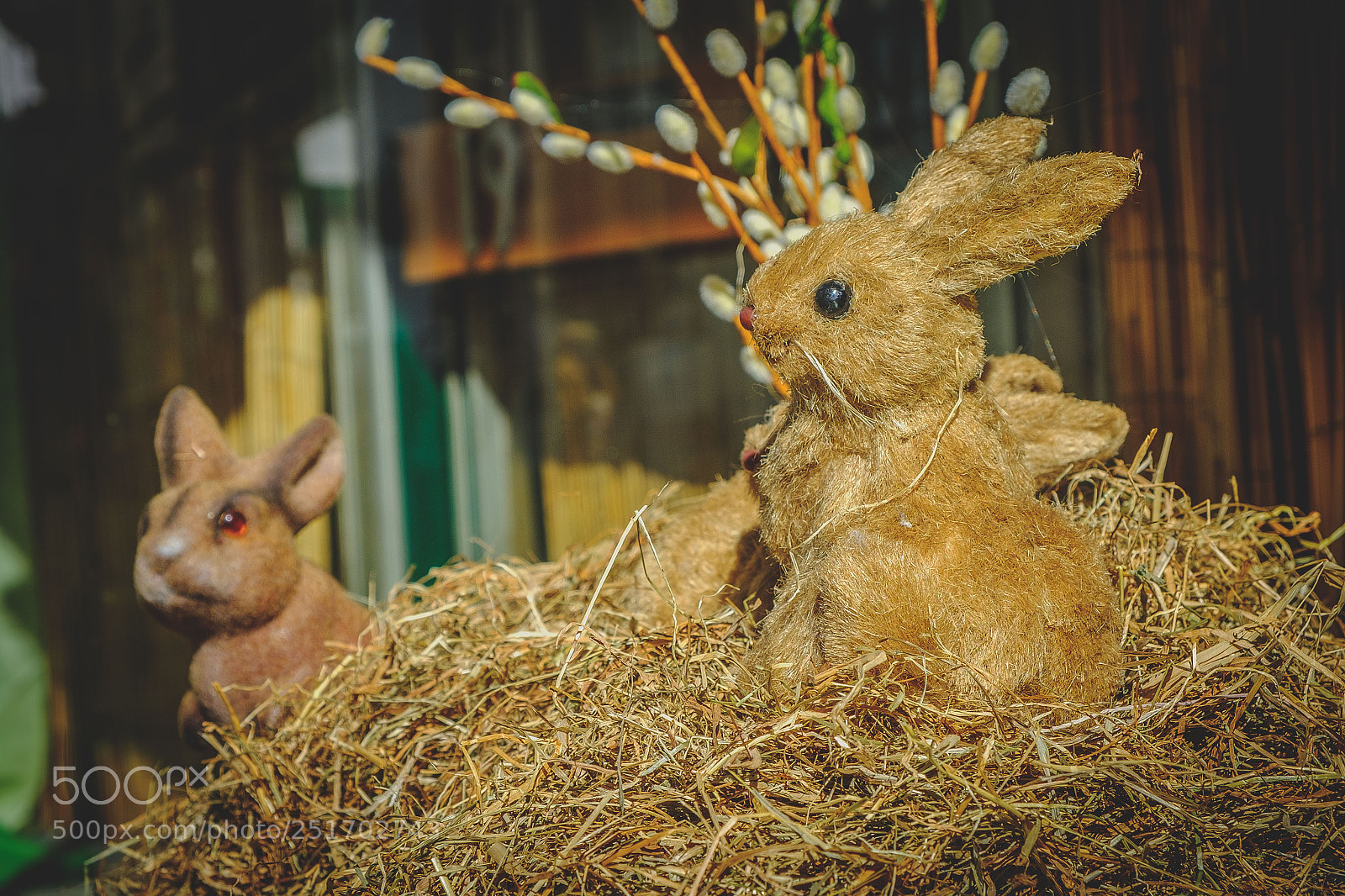 Fujifilm X-T20 sample photo. Frohe ostern! photography