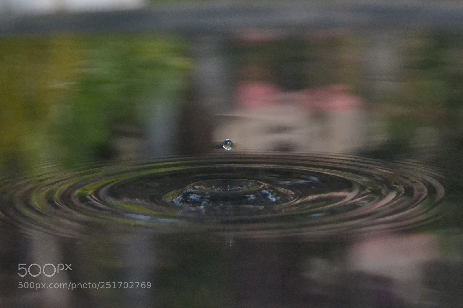 Nikon D3100 sample photo. Untitled photography