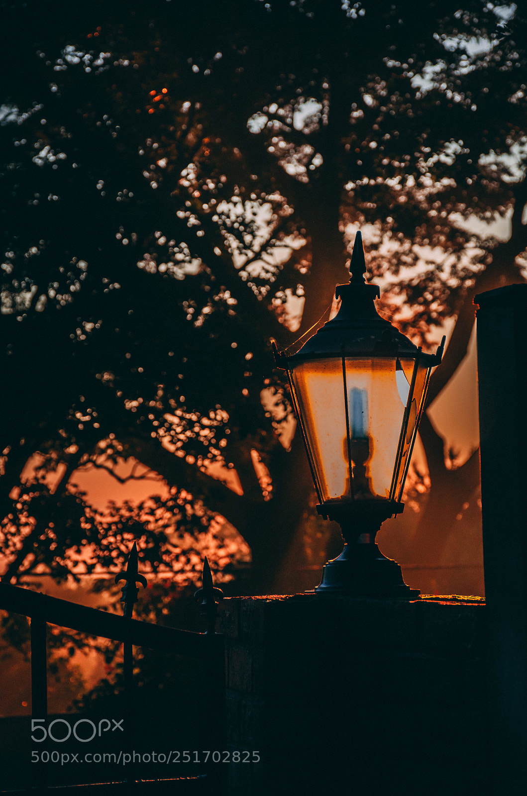 Nikon D7000 sample photo. Morning rise photography