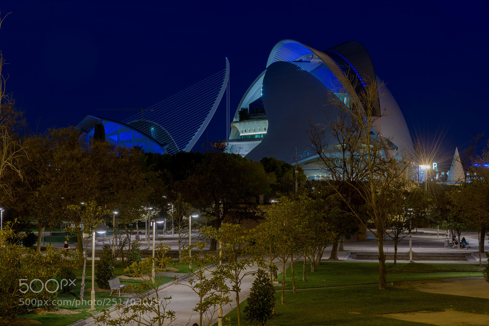 Nikon D610 sample photo. Valencia arts and science photography