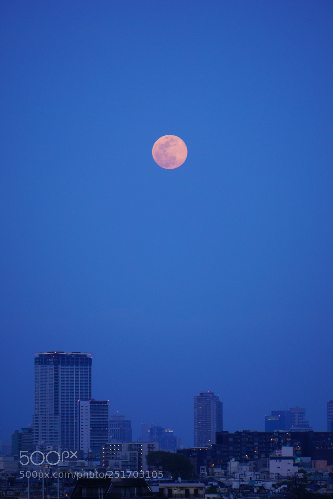 Sony a6000 sample photo. Blue moment photography