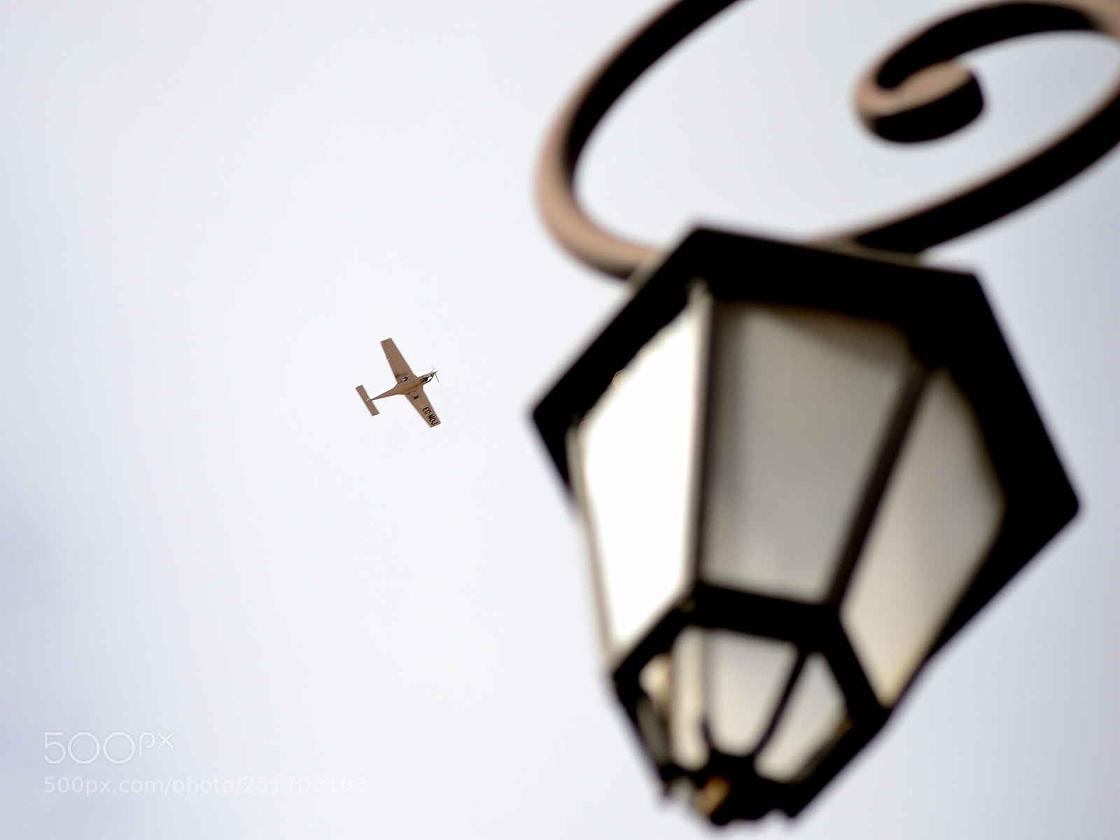 Nikon D3100 sample photo. Flying photography