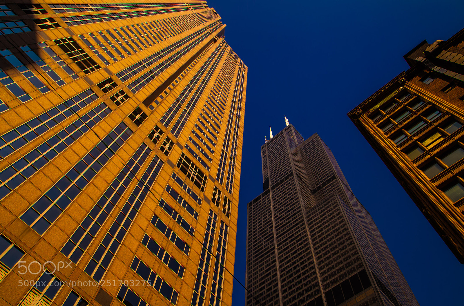 Canon EOS 5D Mark II sample photo. Chicago stories photography