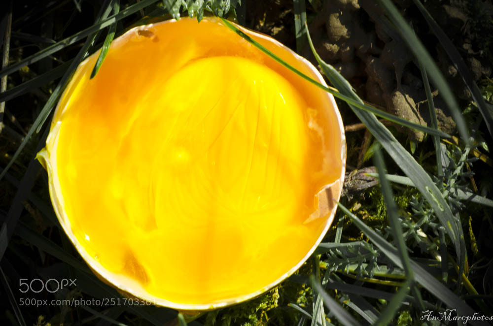 Nikon D7000 sample photo. Jaune yellow () photography