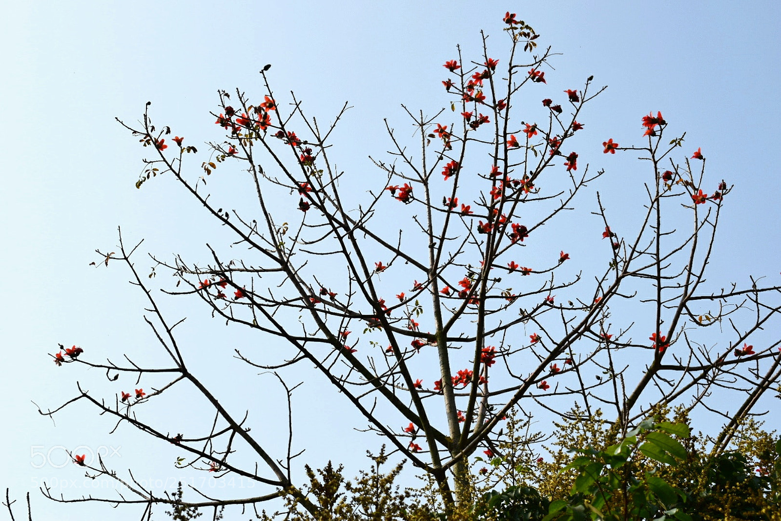 Nikon D5300 sample photo. Untitled photography